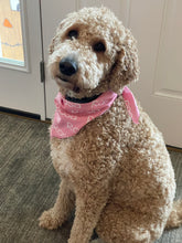 Load image into Gallery viewer, Pet Bandana