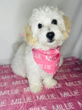 Load image into Gallery viewer, Pet Bandana